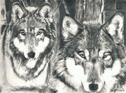 Wolves