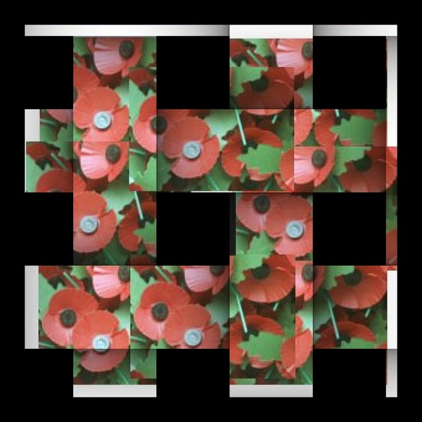 We Remember the Fallen