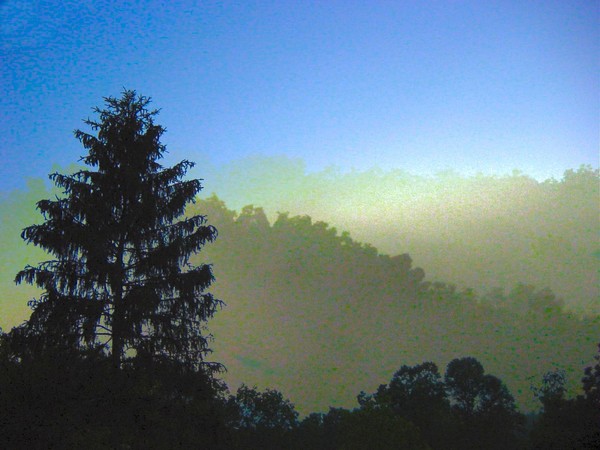 The Foggy Valley
