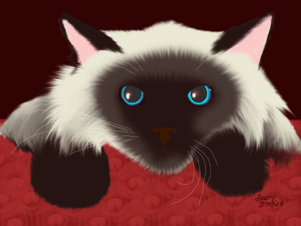 How To Say MINE! in Siamese