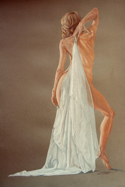 Voile