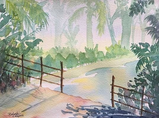 Tropical Dreams
