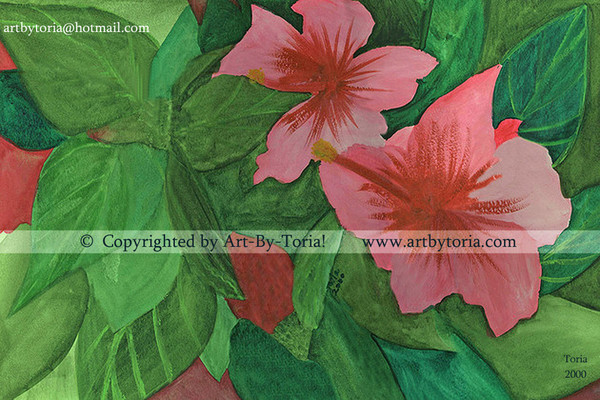 Hibiscus