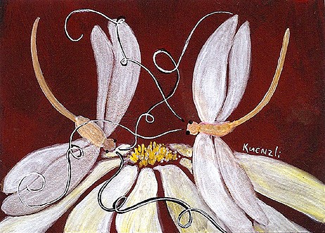 Dragonflies & Daisy