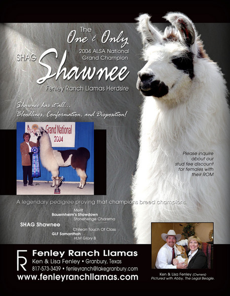 Fenley Ranch Llamas