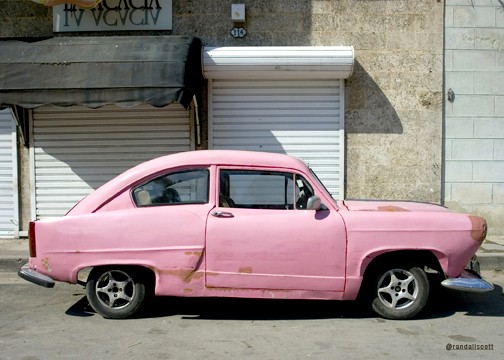 BELLO EN ROSA