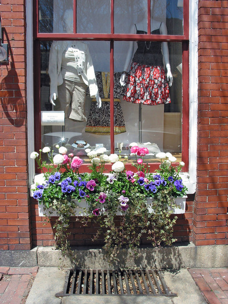 Window Box