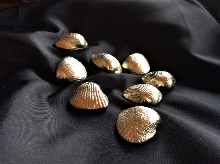 Large  shells