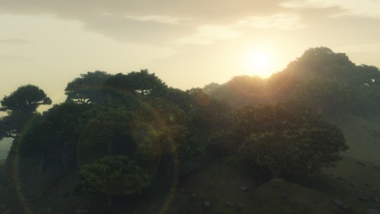 Forest