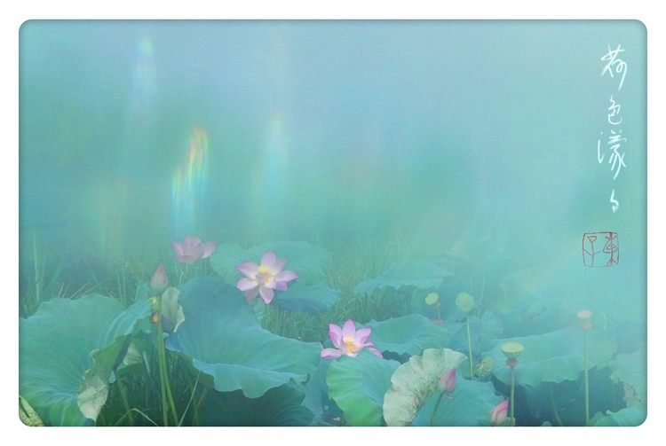 Lotus in Memory II