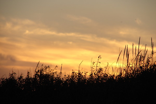the late summer sunset