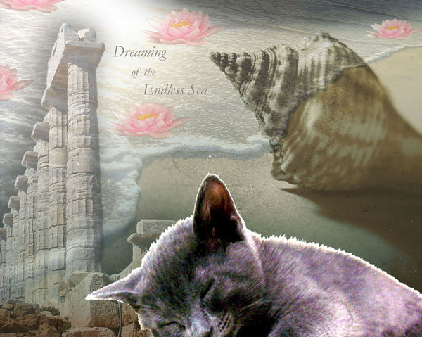 Ocean of Dreams