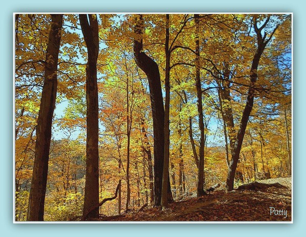 Autumn.............