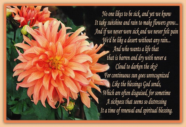 Flowers and Rain.....