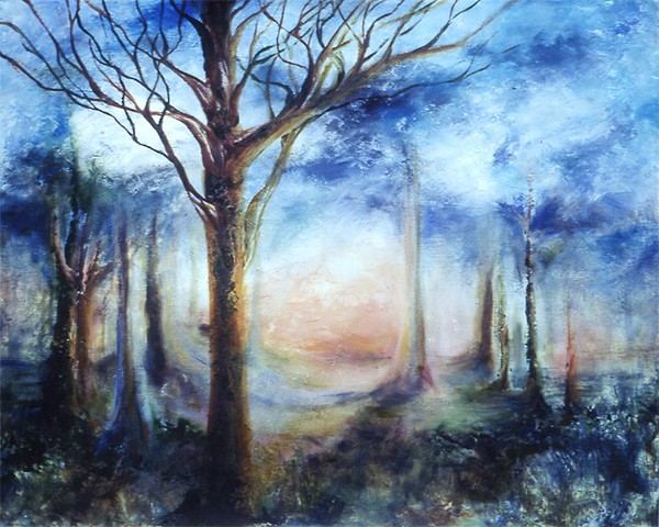 Forest Morning