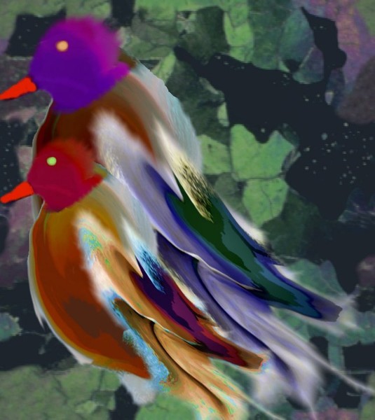 Birds