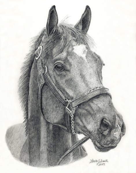 Barbaro - America's Champion