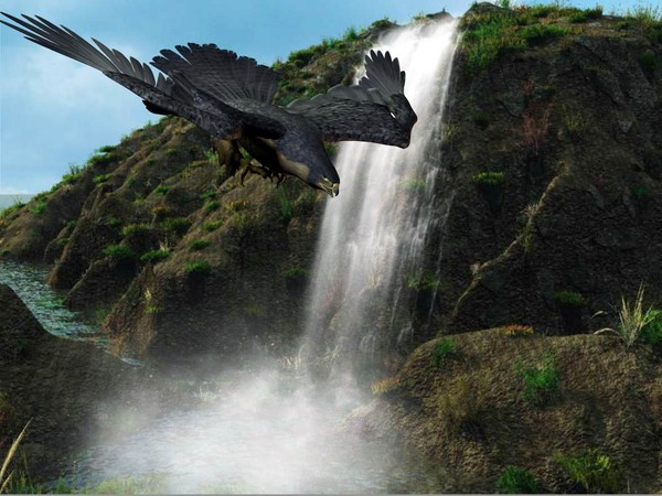 Hunting Falls