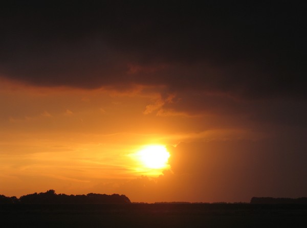yesterday evening (2)