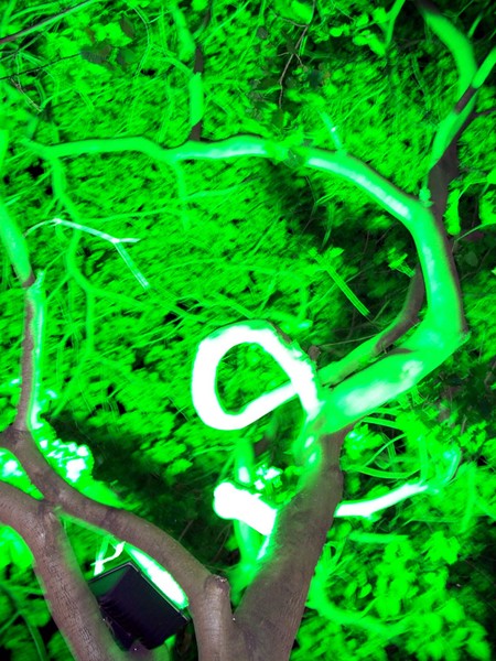 Green Green Spiral