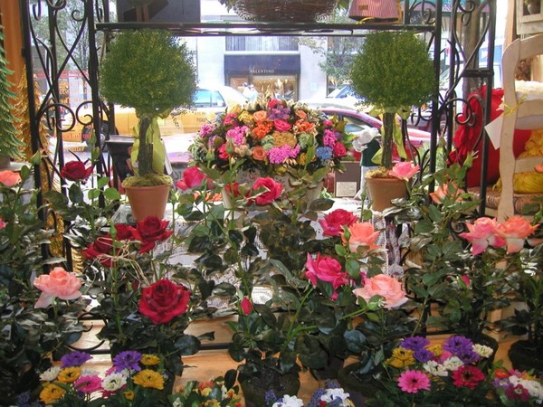 More Window Shopping
