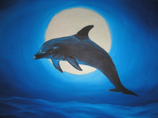 dolphin