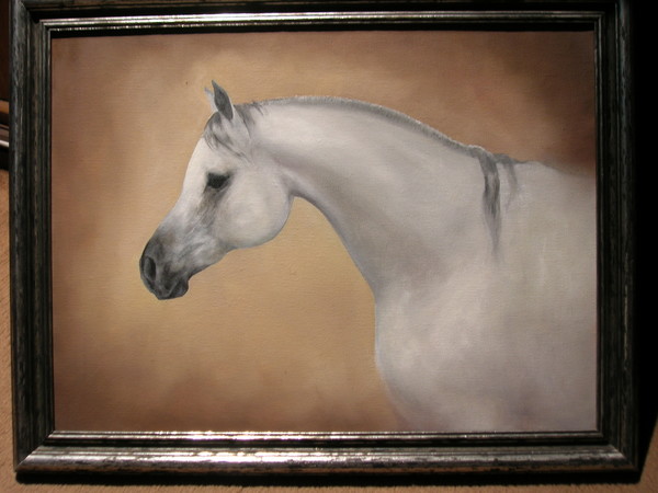 arabhorse4