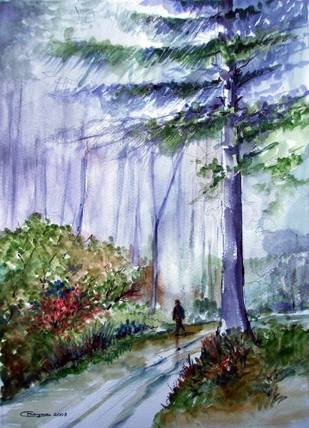 Fog is everywhere