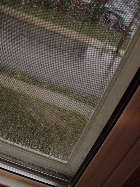 window