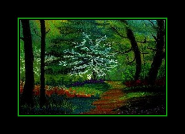 Deep Woods 