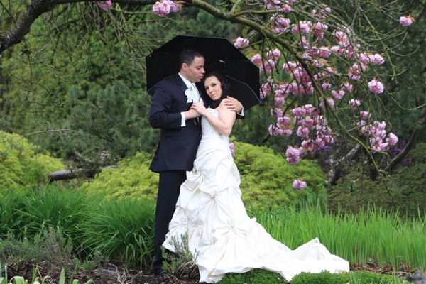 Under the Cherry Tree