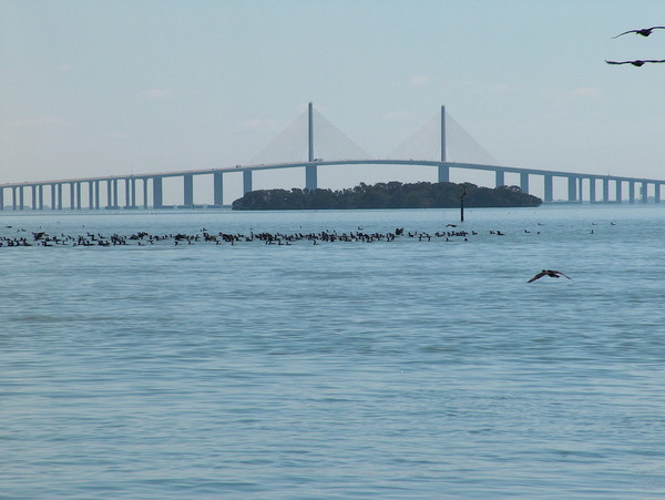 Skyway Pic# 2