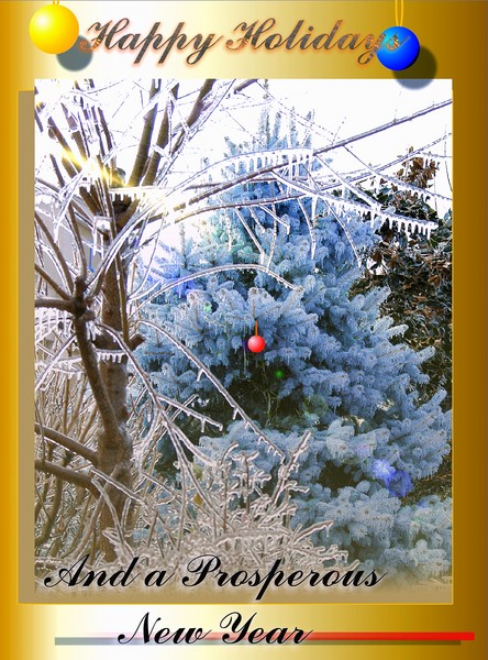 Happy Holidays