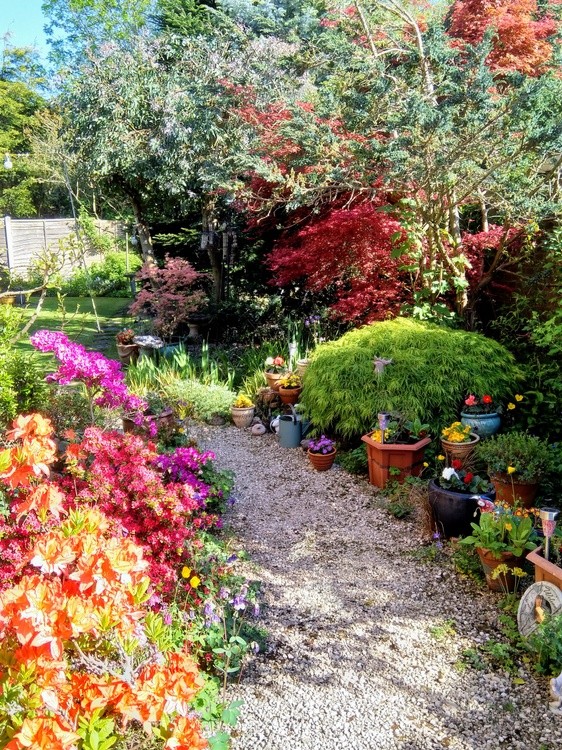  View from garden gate.