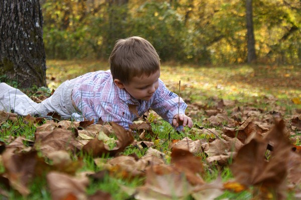 Fall Fun