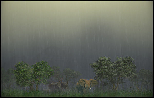 Elephants in the mist