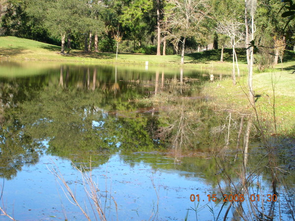 reflection
