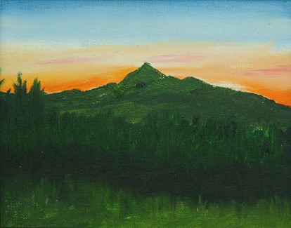 Landscape 1