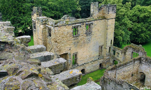 VIEW FROM THE TOWER