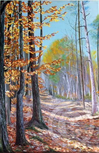 Fall Forest 