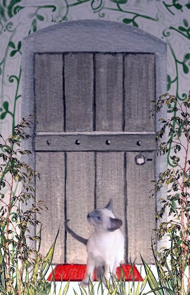 In the doorway.