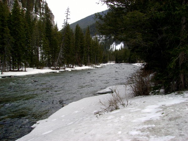 By the stream