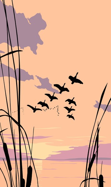 Ducks Flying Sunset - Custom Phone Case Art
