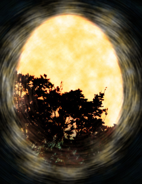 Into the sky