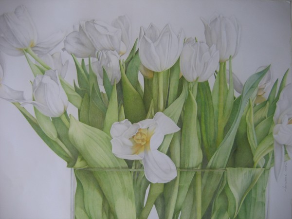 White tulips