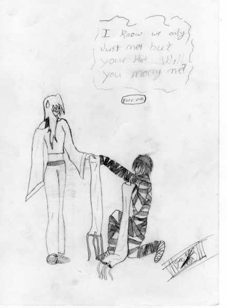 Insane proposal
