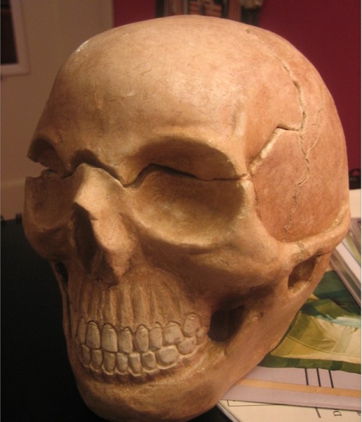 Skull Cookie Jar