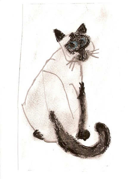 Panchita my Cat
