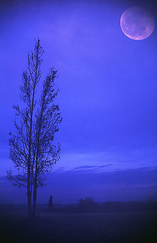blue morning