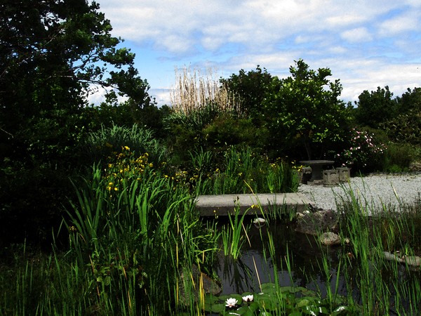 Chinses Garden, Seattle